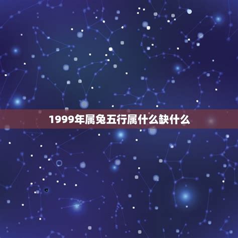 1999 兔 五行